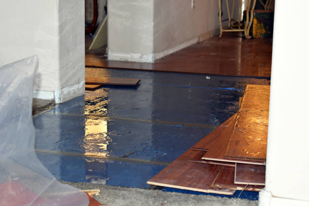 Professional Burst Pipe Cleanup technician working in Roscommon, MI